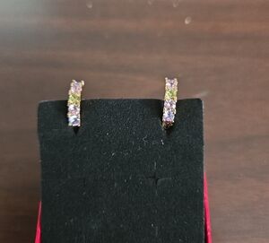 Elegant Multicolor Hoop Earrings